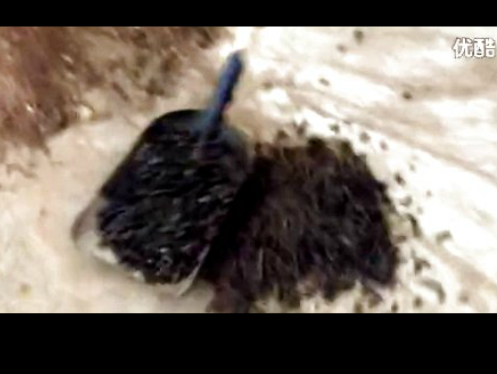 �����w��ԇ�C(j��)ҕ�l--�A���C(j��)е